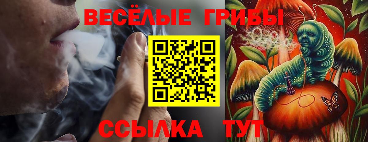 Галлюциногенные грибы Psilocybe  Вход с VPN  Воскресенск 